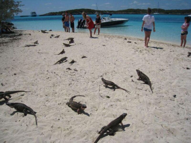 Exuma Cays-Private Adventure Tour - Preparation and Recommendations
