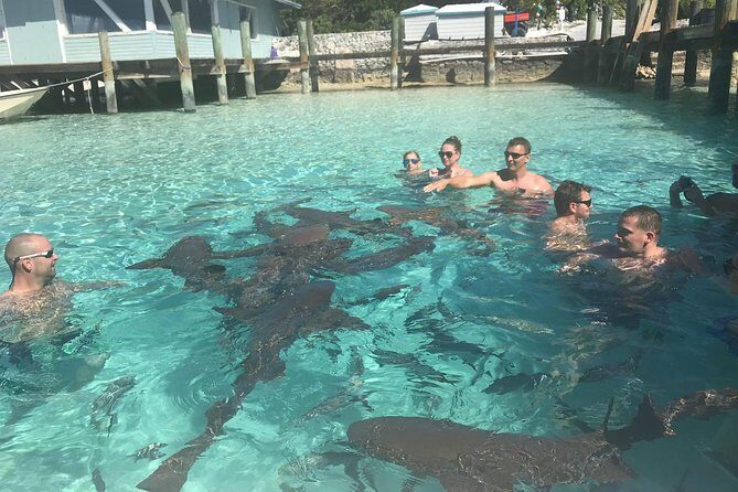 Exuma Day Away - Original Swimming Pigs Excursion - The Itinerary in Detail