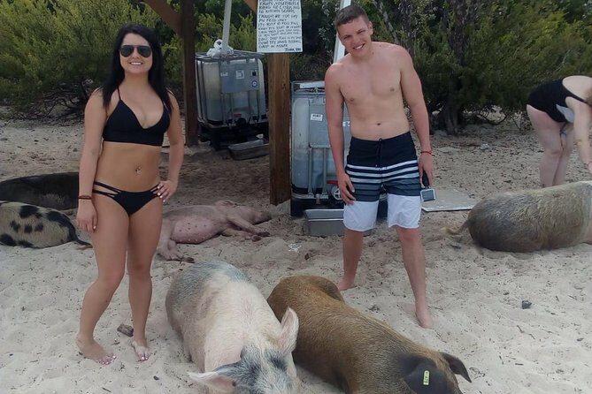 Exuma Day Away - Original Swimming Pigs Excursion - Analyzing Value for Money