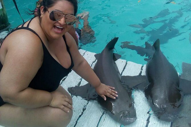 Exuma Day Away - Original Swimming Pigs Excursion - Who Would Love This Tour?