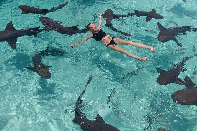 Exuma Day Away - Original Swimming Pigs Excursion - Frequently Asked Questions