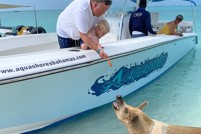 Exuma Powerboat Tour From Nassau With Swimming Pigs - Unique Experiences and Highlights