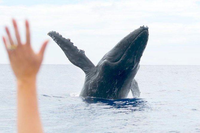 Eye-Level Whale Watching Eco-Raft Tour From Lahaina, Maui - Weather Considerations
