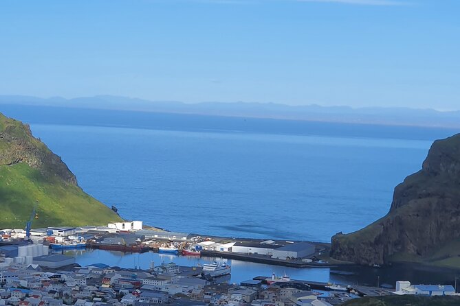 Eyjascooter Puffin Tour in Iceland - Customer Feedback and Recommendations