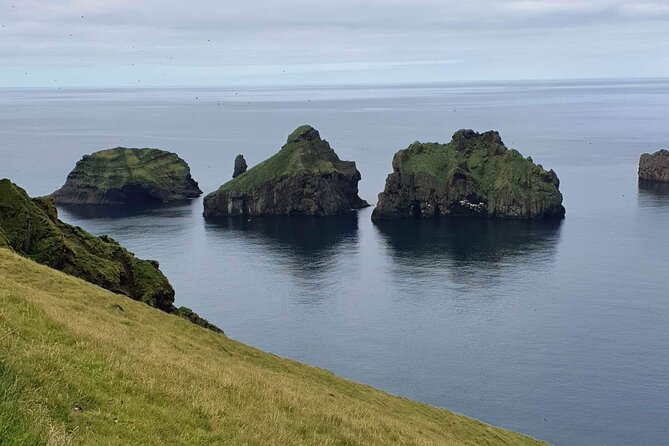 Eyjascooter Volcano Tour in Westman Island - What to Expect on the Tour