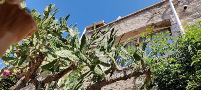 Èze: Walking Tour With a Local Guide - Exploring the Église Notre-Dame-de-lAssomption