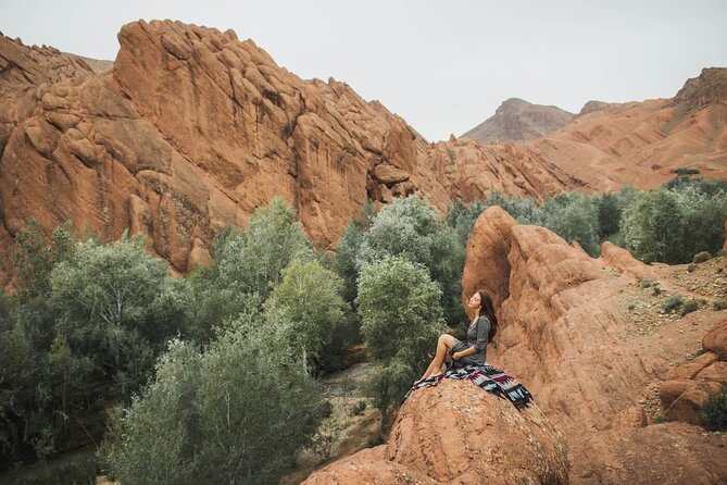 Fabulous 3 Day Desert Adventure to Merzouga With Small Group - Returning to Marrakech