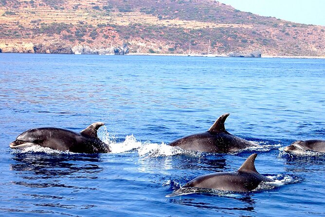 Fabulous Cruise to the Aeolian Islands on a Sailing Boat With Skipper - Booking Confirmation