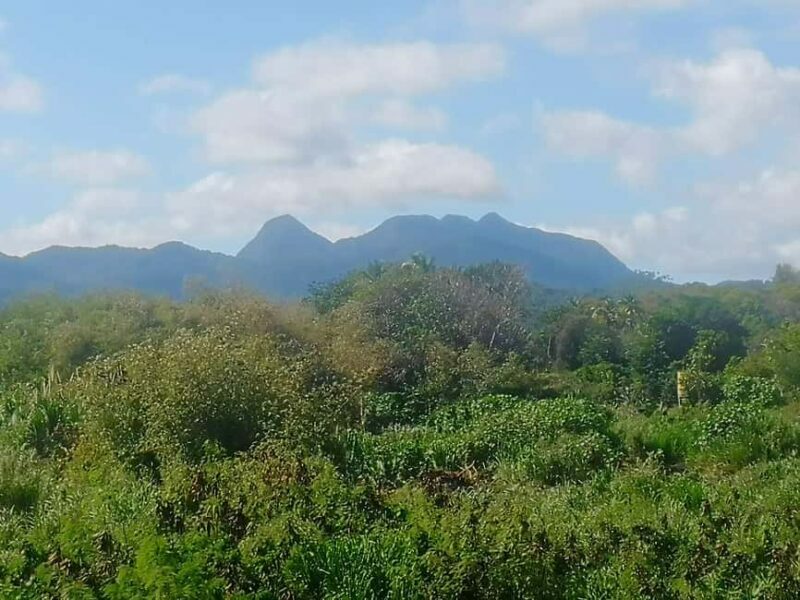 Faces Of St.Lucia. Unique Features of My Awesome Home. - A Deep Dive into the Faces of Saint Lucia