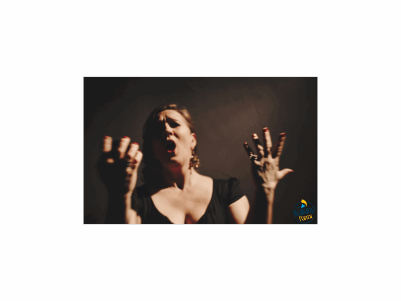 Fado Night: Guided Walking Tour, Dinner and Live Show - Uncovering the Rich Fado Heritage