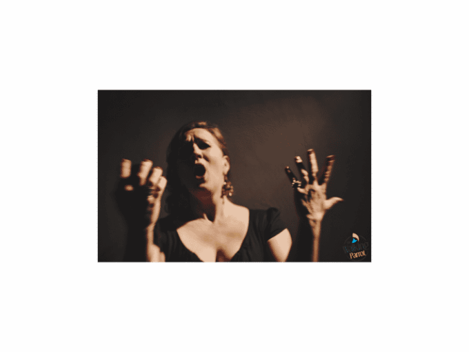 Fado Night: Guided Walking Tour, Dinner and Live Show - Frequently Asked Questions