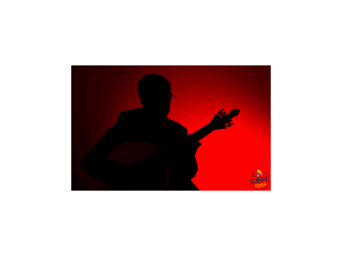 Fado Night: Guided Walking Tour, Dinner and Live Show - Recap
