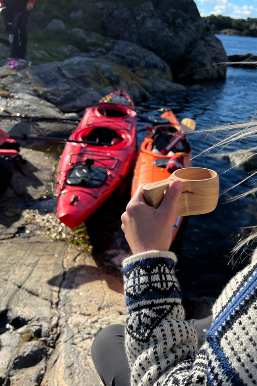 Færvik: Raet National Park Sea Kayaking Trip - Key Points