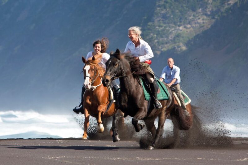 Faial Island: Horseback Riding (3 Hrs - Experienced Riders) - Participant Requirements