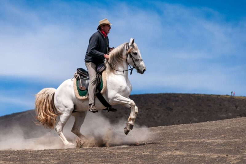 Faial Island: Horseback Riding (3 Hrs - Experienced Riders) - Meeting Point and Attire