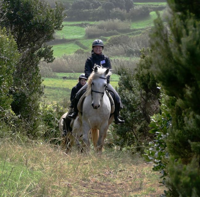 Faial Island: Horseback Riding on Lusitano Trail - Group Size and Languages