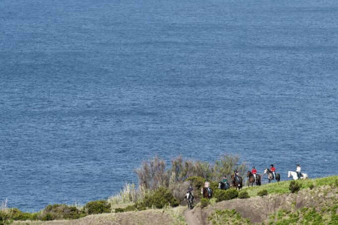 Faial Island: Horseback Riding on Lusitano Trail - Customer Feedback Highlights