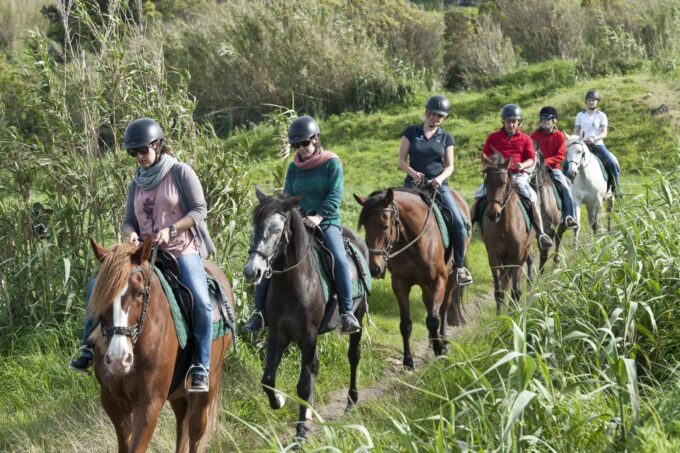 Faial Island: Horseback Riding on Lusitano Trail - Frequently Asked Questions