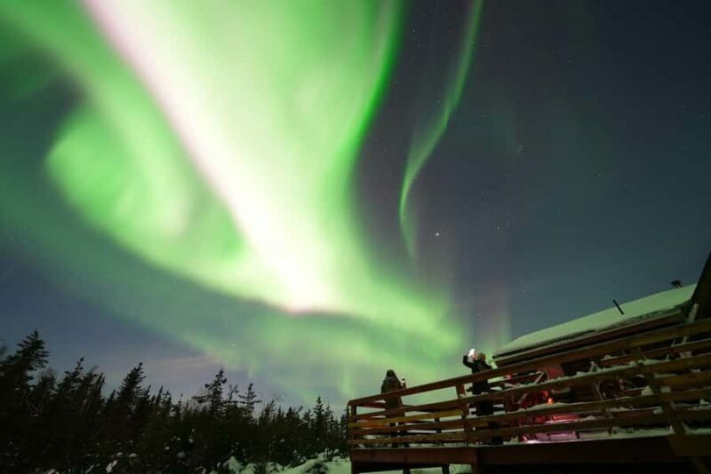 Fairbanks: Aurora Husky Lodge Aurora Viewing Tour - Important Practical Details
