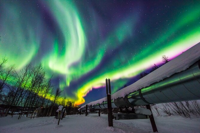 Fairbanks Aurora Viewing Adventure by RV - Amenities and Comforts