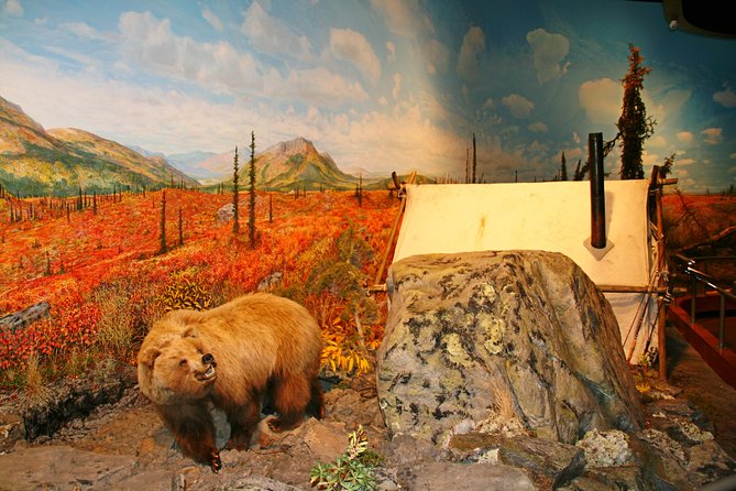 Fairbanks Autumn/Winter City Tour - Booking and Inclusions