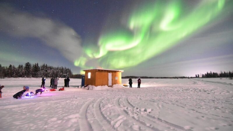 Fairbanks: Dog Sledding and Mushing Experience - Included and Required Items