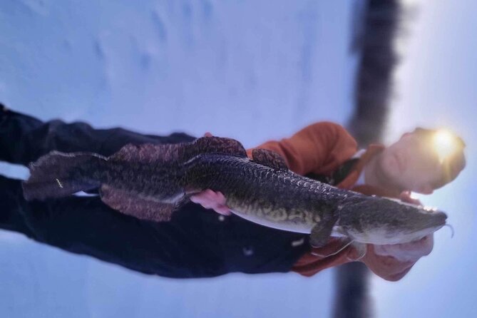 Fairbanks Ice Fishing With Transportation - Whats Included in the Experience