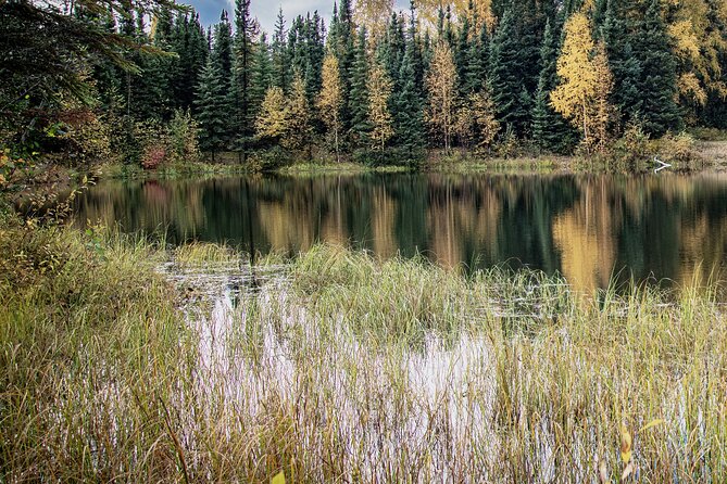 Fairbanks Midday Photo Tour Adventure - Exploring Fairbanks