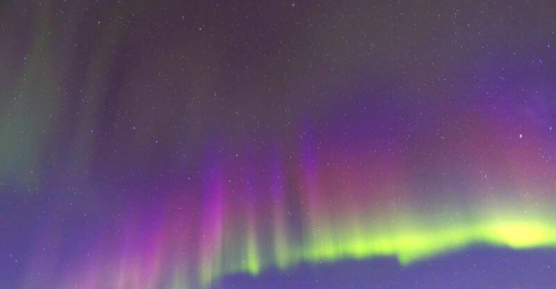 Fairbanks: Moonlight Dog Sled, Dinner & Northern Lights - Itinerary Details