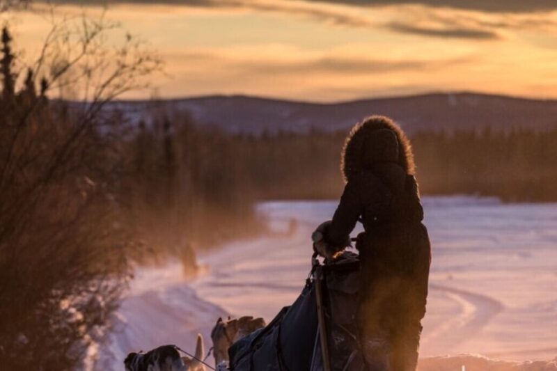 Fairbanks: Mush on the Historic Yukon Quest Trail - Tour Details