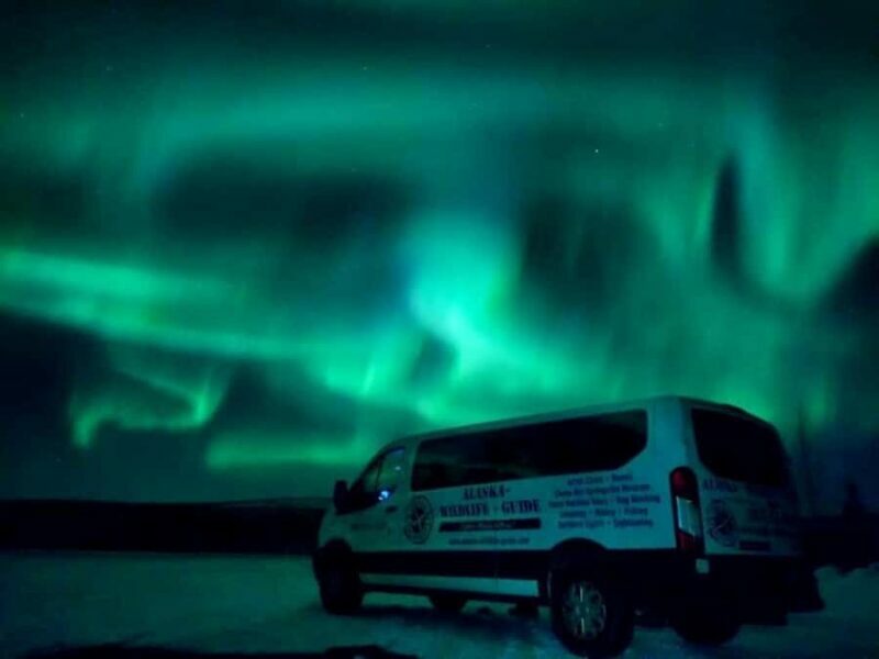 Fairbanks: Northern Lights & Arctic Circle Tour - Who Would Enjoy This Tour?