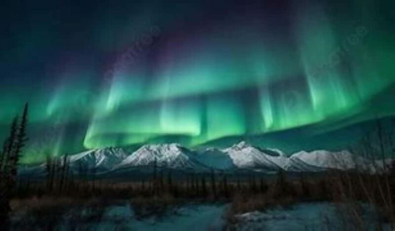 Fairbanks: Northern Lights & Arctic Circle Tour - The Sum Up