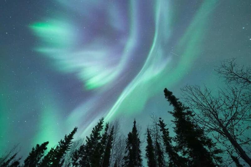 Fairbanks: Northern Lights & Arctic Circle Tour - FAQ