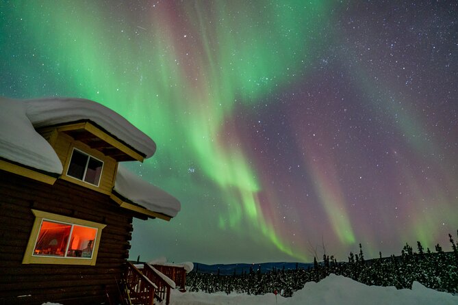 Fairbanks Northern Lights Tour - Booking and Confirmation
