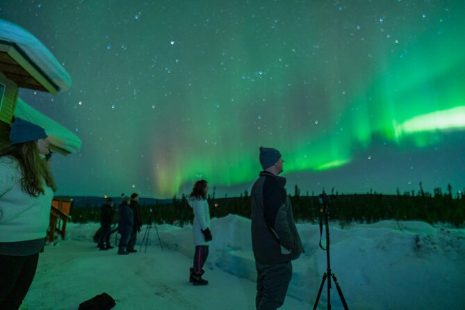 Fairbanks Northern Lights Tour - Accessibility and Age Restrictions