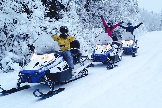 Fairbanks Snowmobile Adventure From North Pole - Transportation Details