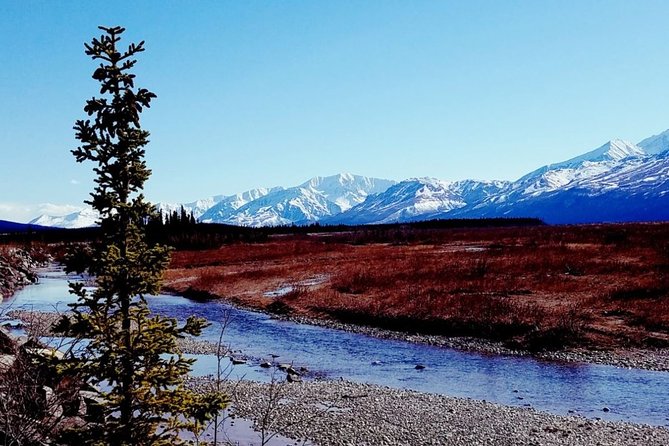 Fairbanks to Denali Shuttle Service - Traveler Policies