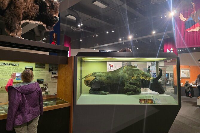 Fairbanks Top City Highlights Tour Summer/Fall - Optional Extra: The Alaskan Pipeline & Scenic Views