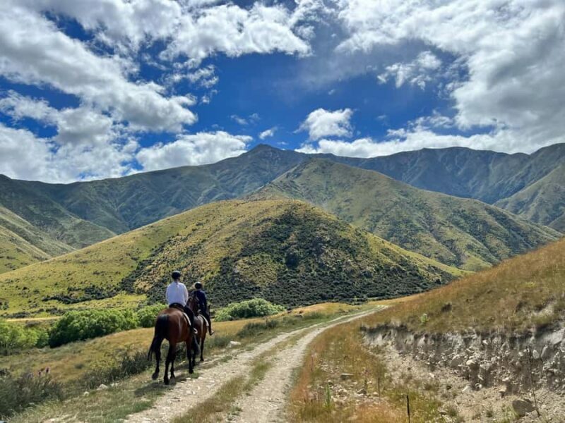 Fairlie, NZ: 5-Day Horse Adventure with Endless Mountains - Final Day: Wrapping Up with a Ride and Farewell