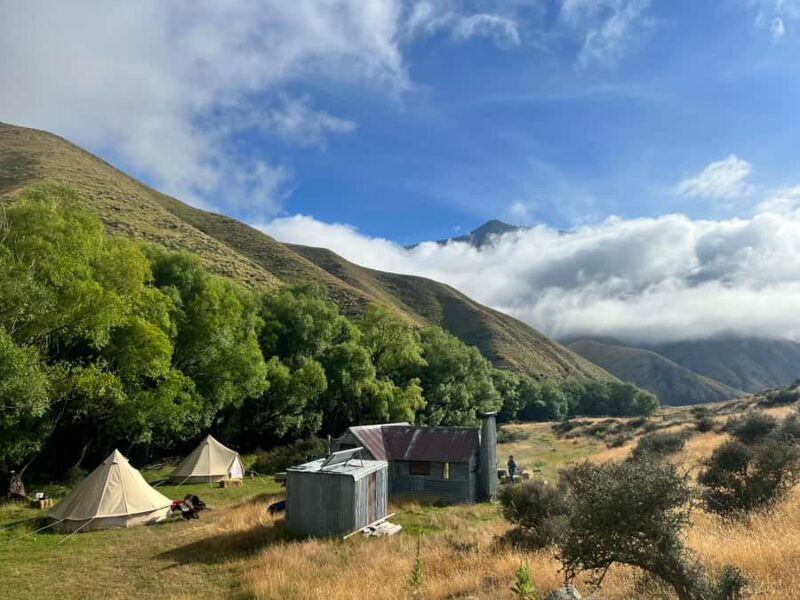 Fairlie, NZ: 5-Day Horse Adventure with Endless Mountains - Is It Worth the Cost?