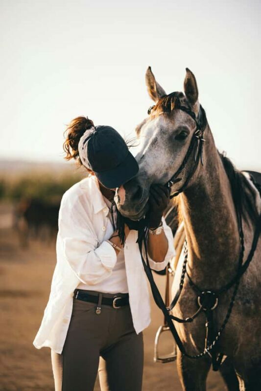 Fairlie,New Zealand: Full Day Private Backcountry Horse Trek - What to Expect from This Horse Trek