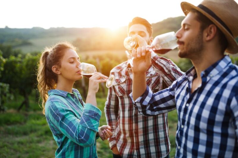 Fairplay and Pleasant Valley Digital Wine Tasting Passport - Varietals and Tastings