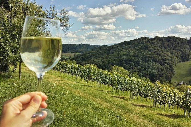 Fairytale Castle & Delicious Wine Tasting and Lunch - Local Delicacies and Lunch