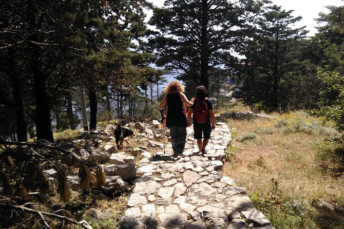 Faito Trek Tour, Cable Car Excursion and Scenic Trails - Stunning Cable Car Ride