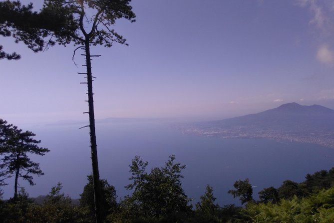 Faito Trek Tour, Cable Car Excursion and Scenic Trails - Serene Hiking Trails