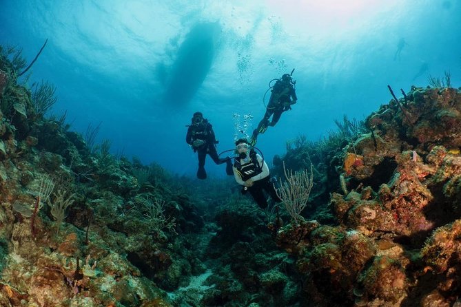 Fajardo 2-Tank Scuba Dive for Certified Divers Only - Certification and Fitness Level
