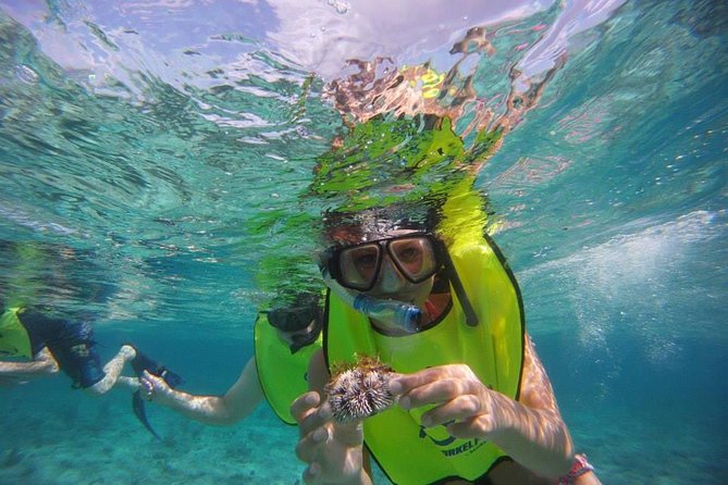 Fajardo Afternoon Snorkeling Adventure Tour - Navigating Logistics and Challenges