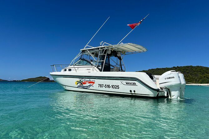 Fajardo to Culebra Charter Tour, Snorkeling and Beach Day - Key Points