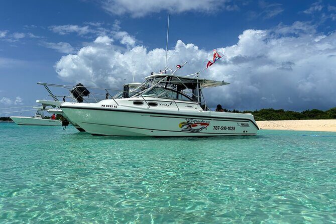 Fajardo to Culebra Charter Tour, Snorkeling and Beach Day - The Sum Up: A Perfect Caribbean Escape for Small Groups