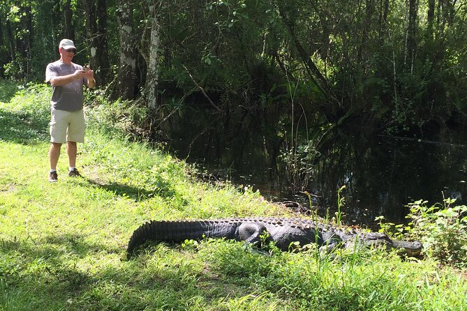 Fakahatchee Strand E-Bike Adventure - Pricing and Ratings